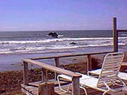cayucoshomes.com